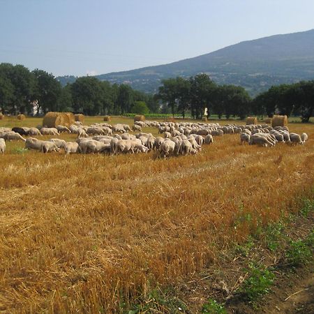 Il Tugurio Agriturismo B&B Rivotorto Εξωτερικό φωτογραφία